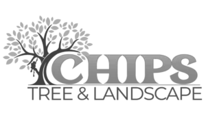 Logo with a tree and the word CHIP beneath it.