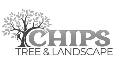Logo with a tree and the word CHIP beneath it.